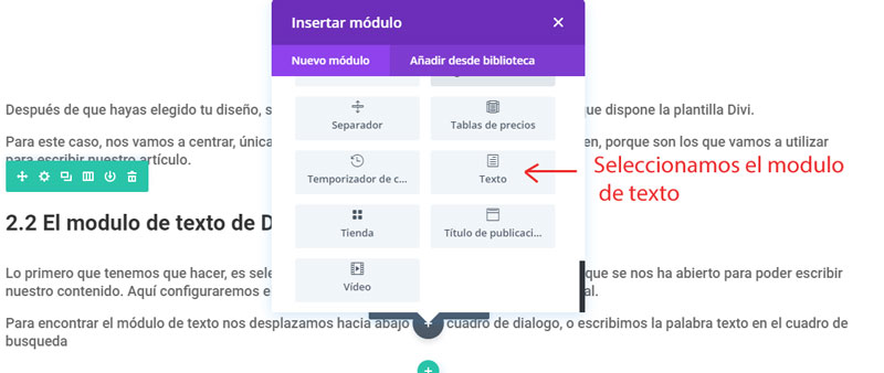 modulo de texto de divi